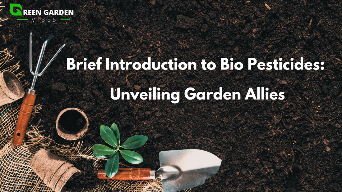 Brief Introduction to Bio Pesticides:  Unveiling Garden Allies!