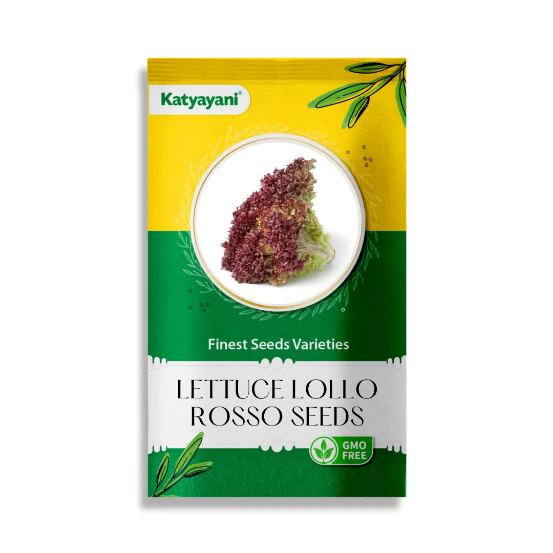 Lettuce Lollo Rosso Vegitable Seeds