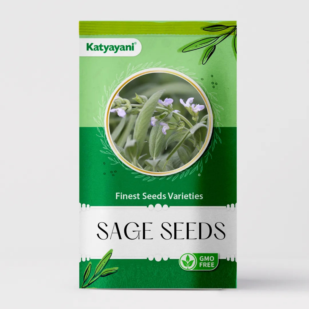 Sage Herb seeds