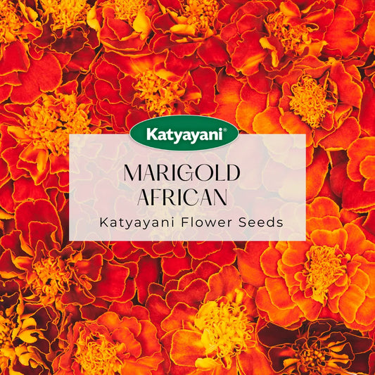 Marigold African Double Flowering Seeds