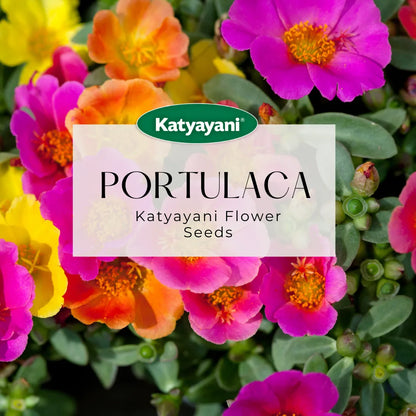 Portulaca Mix Flowering Seeds