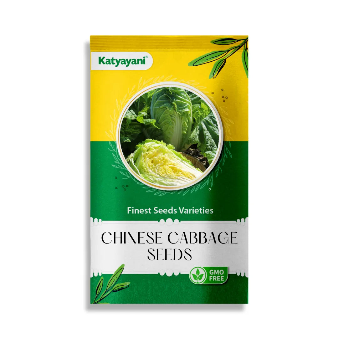 Chinese Cabbage Vegitable Seeds