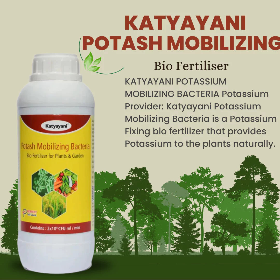 Potash Mobilizing Bacteria Bio fertilizer