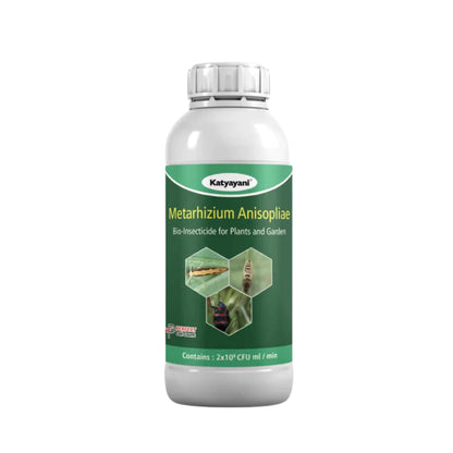 Metarhizium anisopliae Bio pesticide