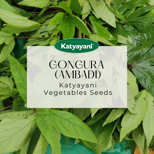 Gongura  (Ambadi) Vegitable Seeds