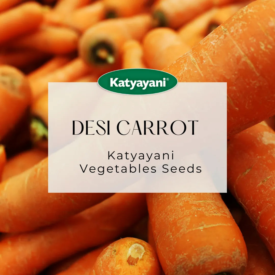 Desi Carrot (Long) Vegitable Seeds