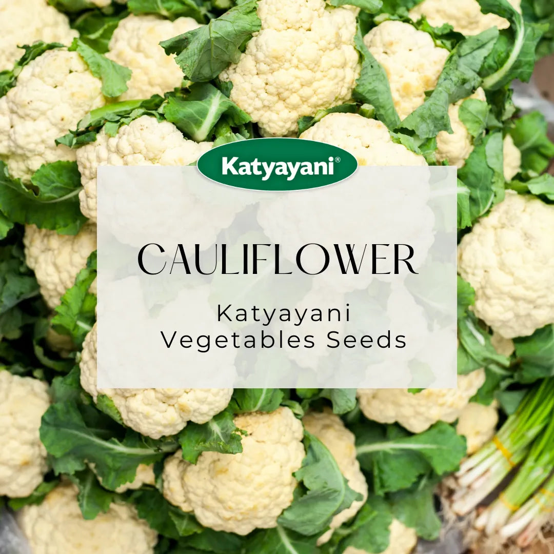 Cauliflower Vegitable Seeds