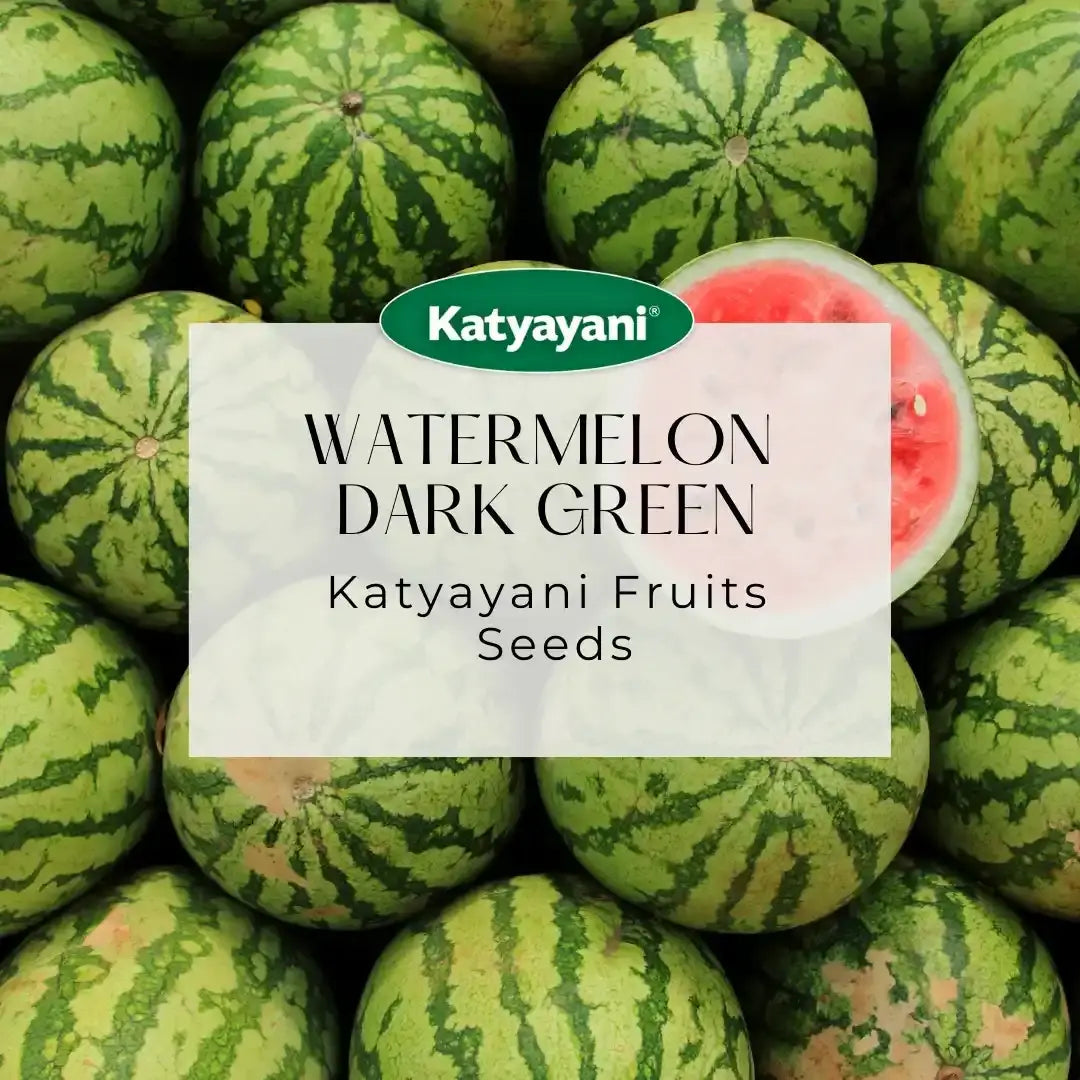 Watermelon Dark Green Fruit seeds