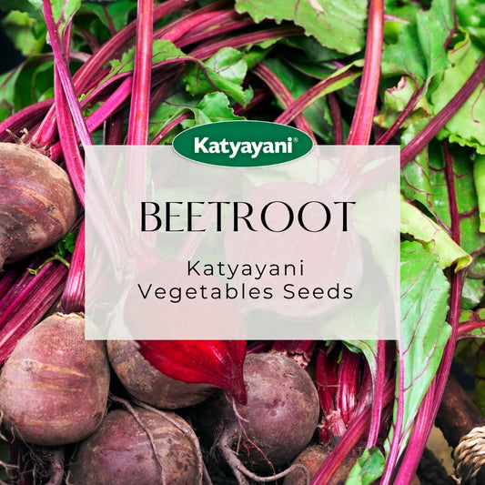 Beetroot Vegitable Seed