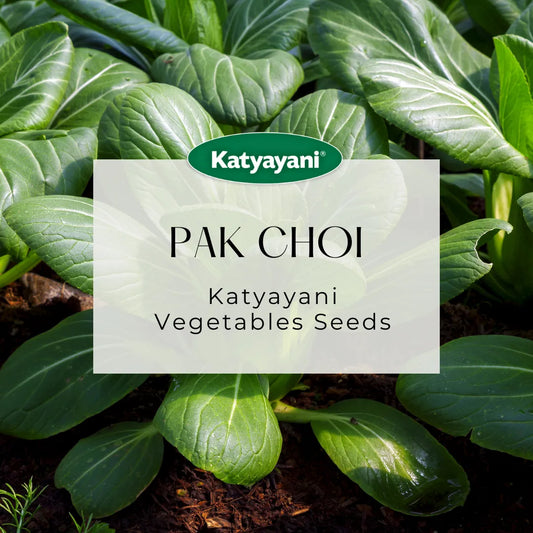 Pak Choi Vegitable Seeds