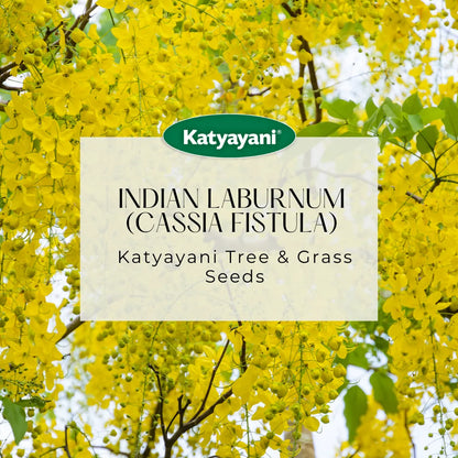 Indian Laburnum (Cassia Fistula) Trees and Grass Seeds