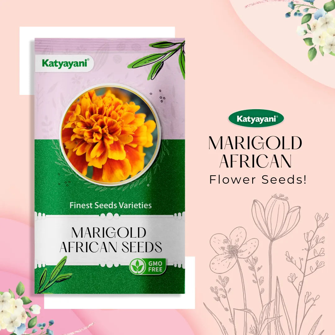 Marigold African Yellow Flowering Seeds