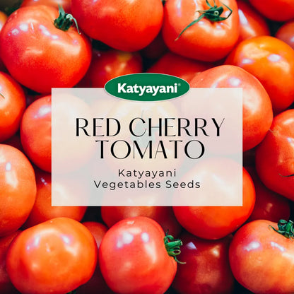 Red Cherry Tomato Vegitable Seeds