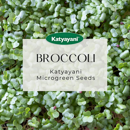 Broccoli Microgreen Seeds