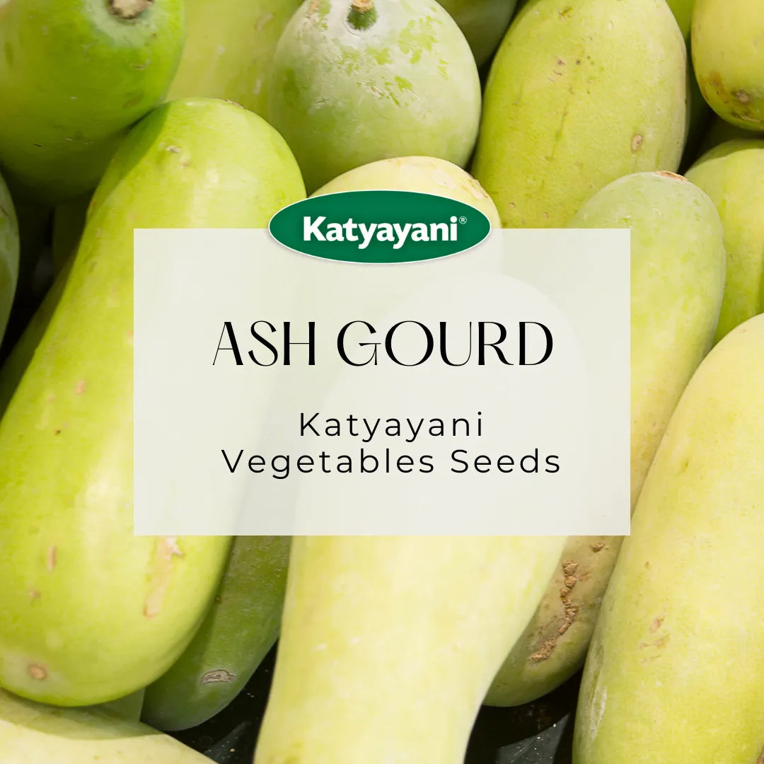 Ash Gourd Vegitable Seeds