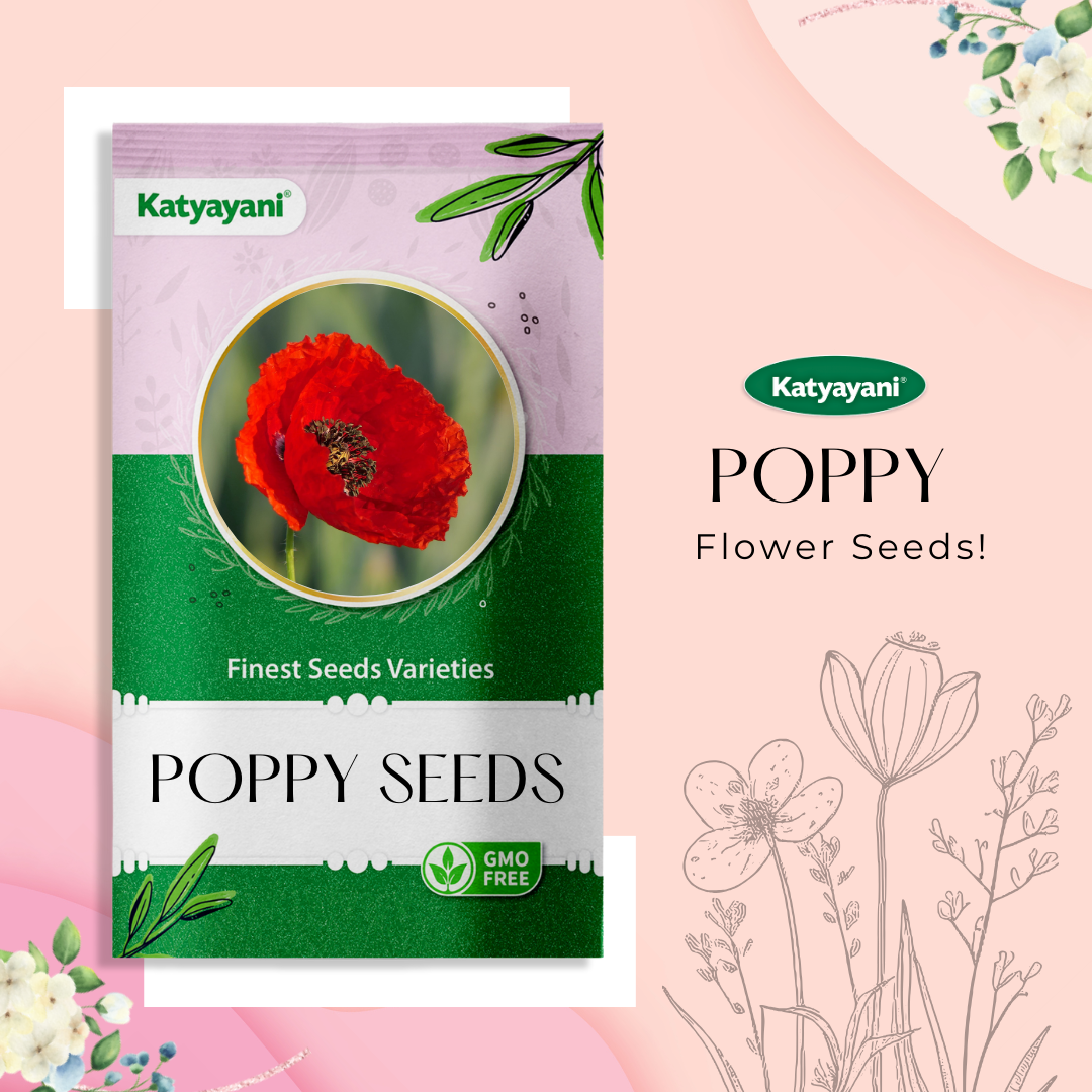 Poppy Mix Flowering Seeds