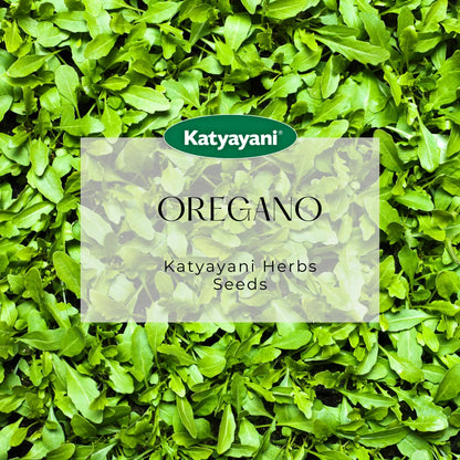 Oregano Herb seeds