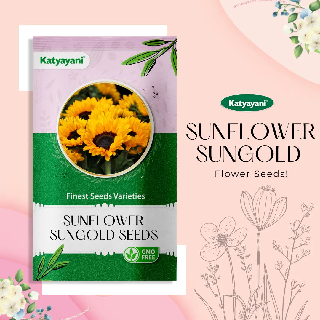 Sunflower Sungold Flowering Seeds