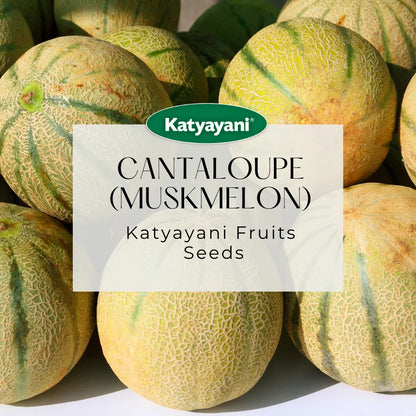 Cantaloupe (Muskmelon) Fruit Seeds