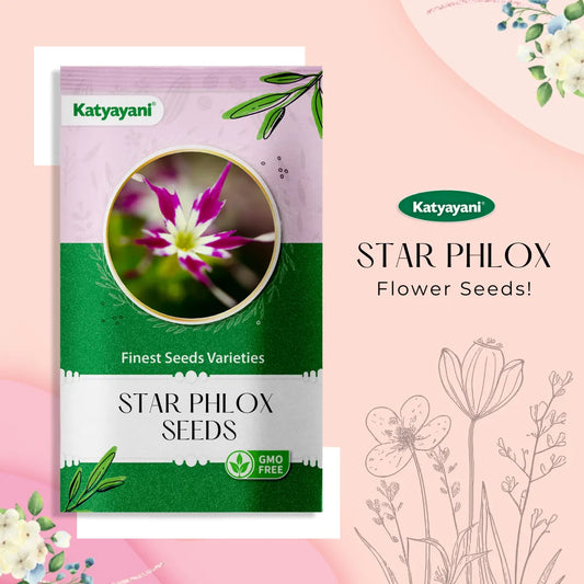 Star Phlox Mix Flowering Seeds