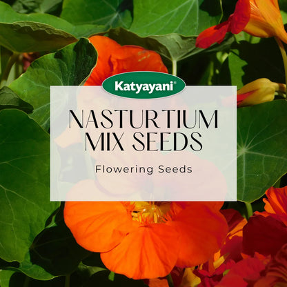 Nasturtium Mix Flowering Seeds