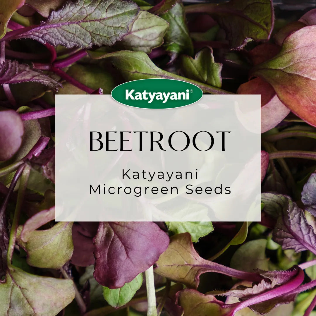 Beetroot Microgreen Seeds