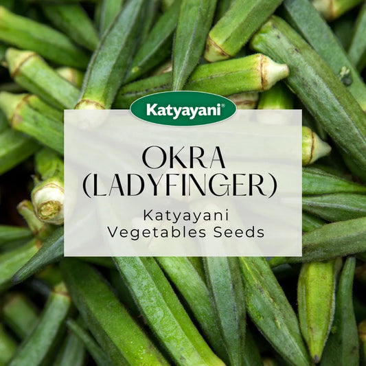 Okra (Lady Finger) Vegitable Seeds