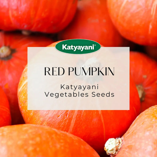 Red Pumpkin Vegitable Seeds