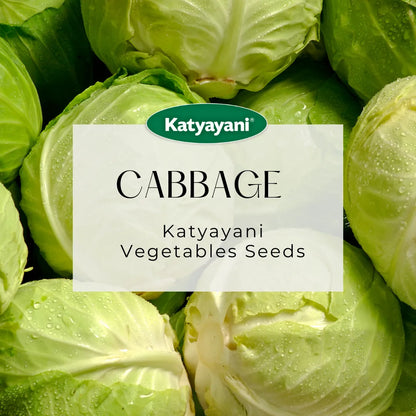 Cabbage Vegitable Seeds