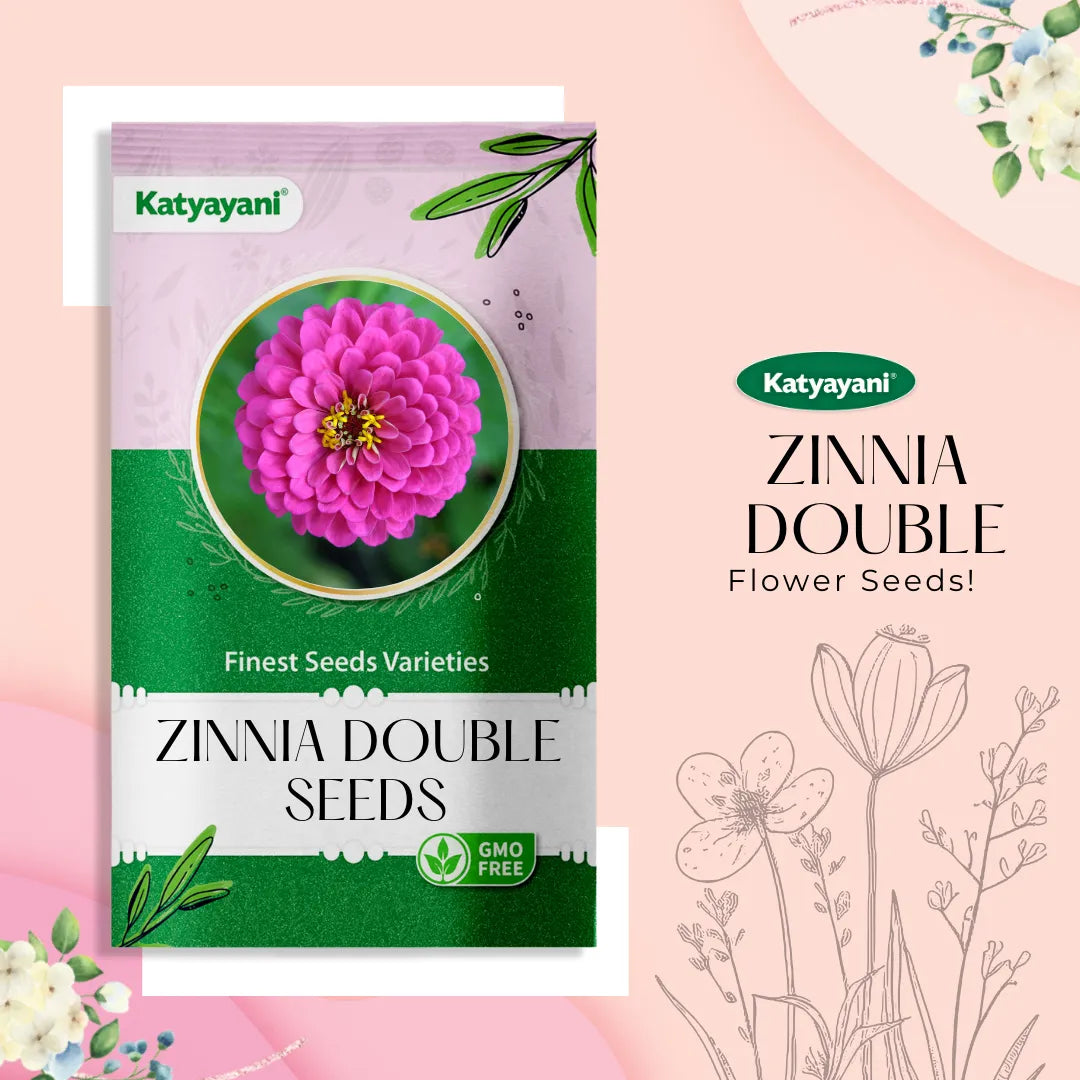 Zinnia Double Mix Flowering Seeds