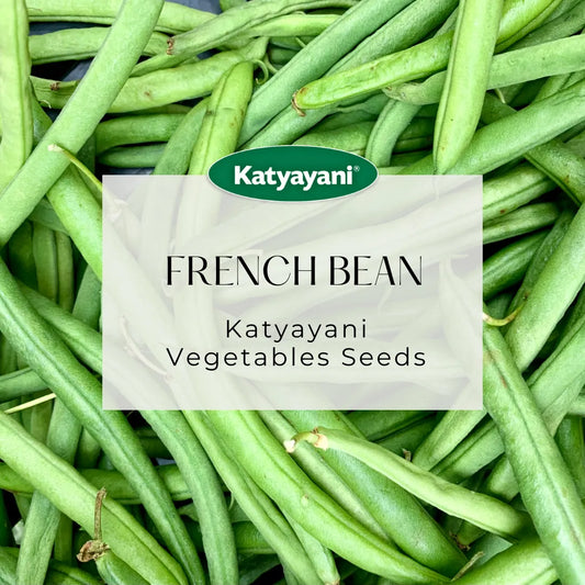 French Bean Vegitable Seed