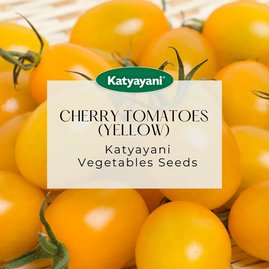 Cherry Tomatoes Seeds (Yellow) Vegitable Seeds