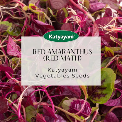 Red Amaranthus  (Red Math) Vegitable Seeds