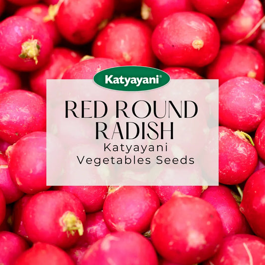 Red Round Radish Vegitable Seeds