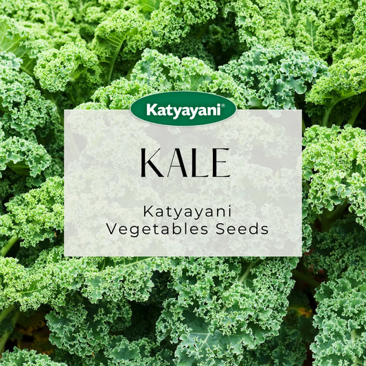 Kale Vegitable Seeds