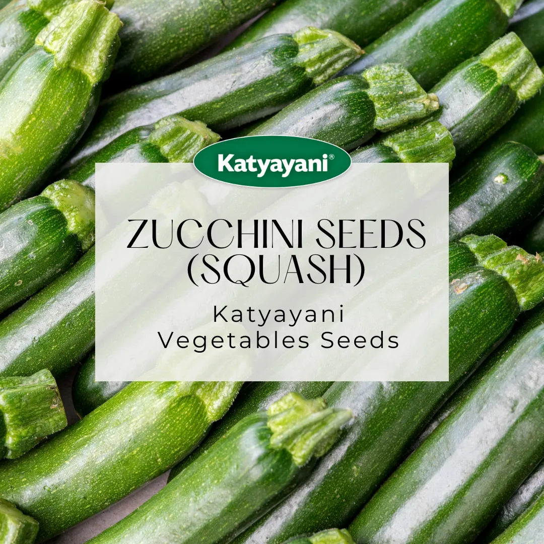 Zucchini  (Squash) Vegitable Seeds