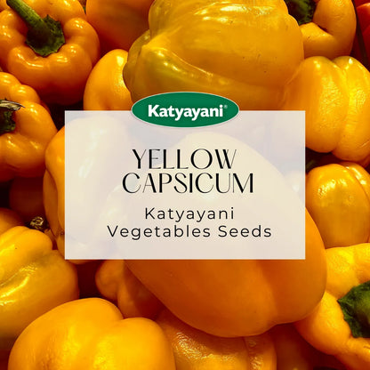 Yellow Capsicum Vegitable Seeds