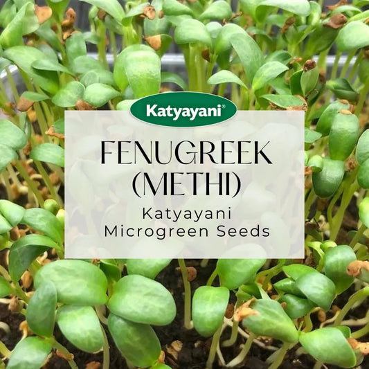 Fenugreek (Methi) Vegitable Seed