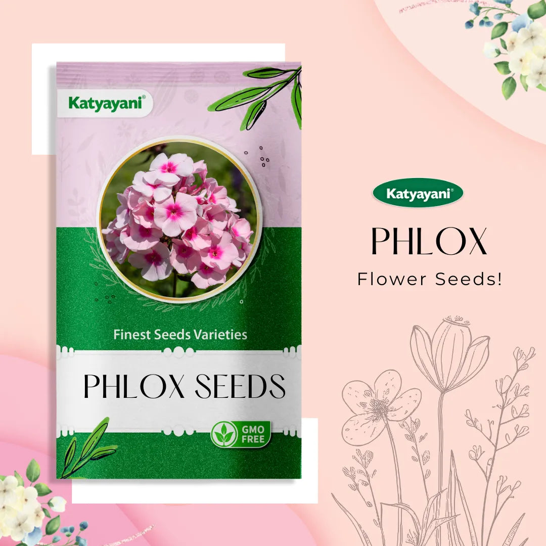 Star Phlox Mix Flowering Seeds