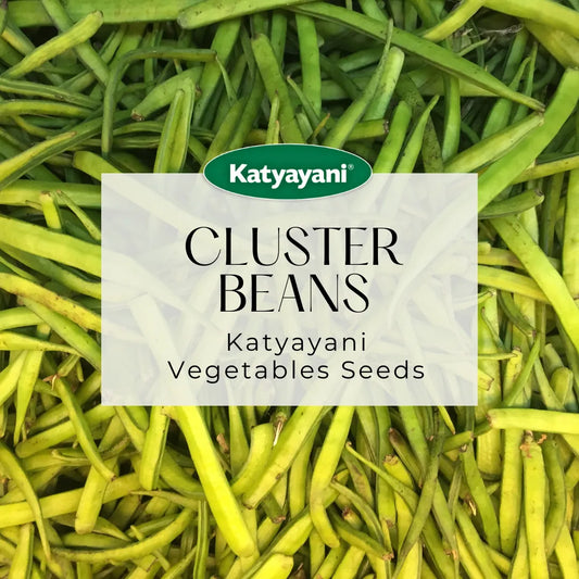 Cluster Beans Vegitable Seeds