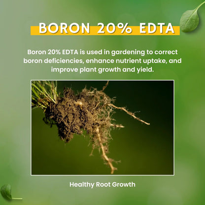 Boron 20% (EDTA) Micronutrient Fertilizer