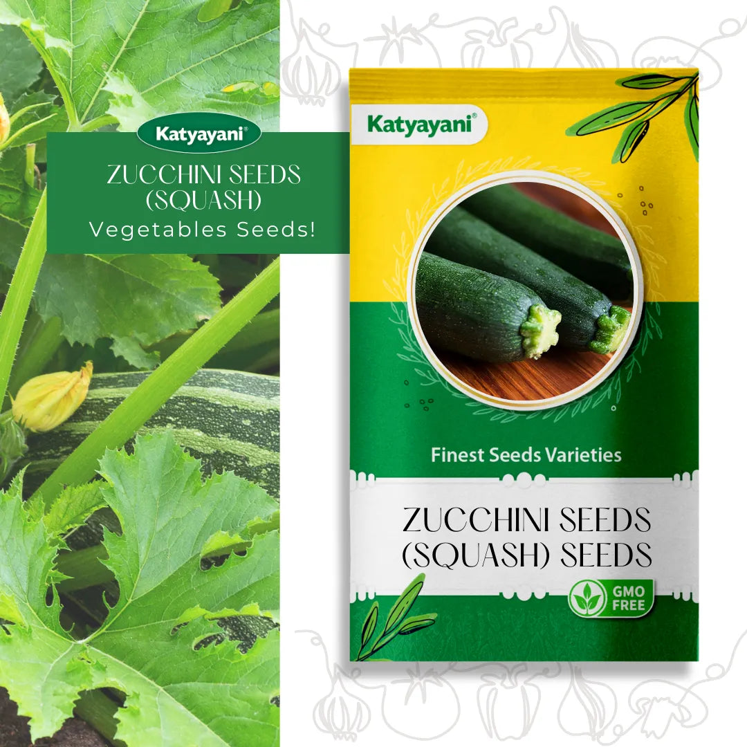 Zucchini  (Squash) Vegitable Seeds