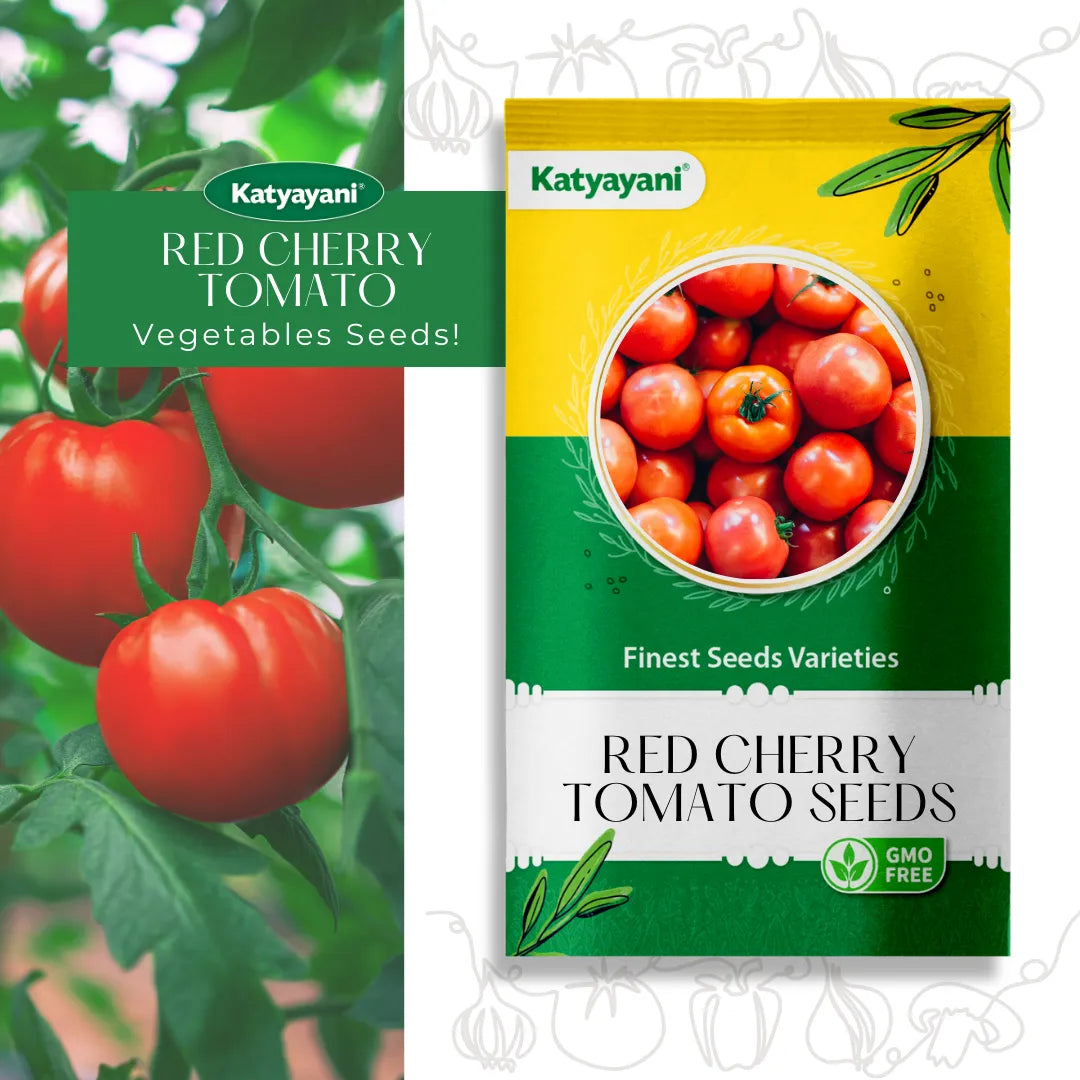 Red Cherry Tomato Vegitable Seeds