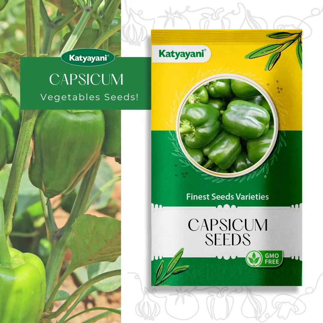 Capsicum Vegitable Seed