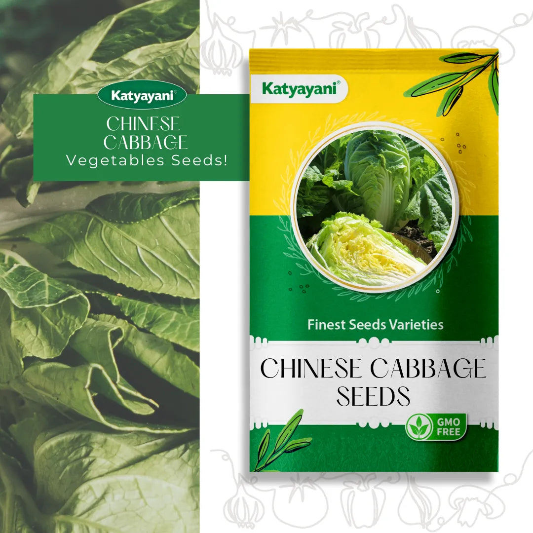 Chinese Cabbage Vegitable Seeds