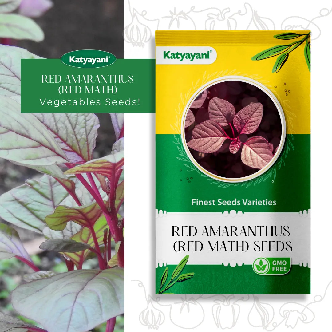 Red Amaranthus  (Red Math) Vegitable Seeds