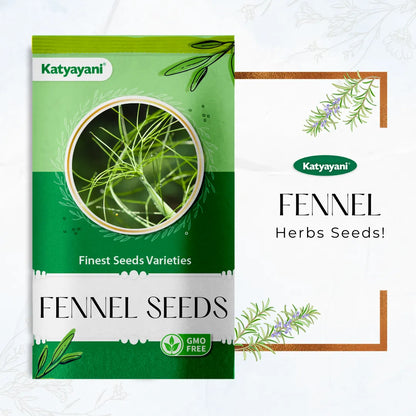 Fennel Herb seeds