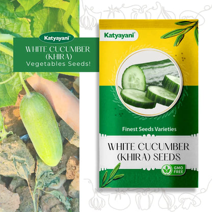 White Cucumber (Khira) Vegitable Seeds