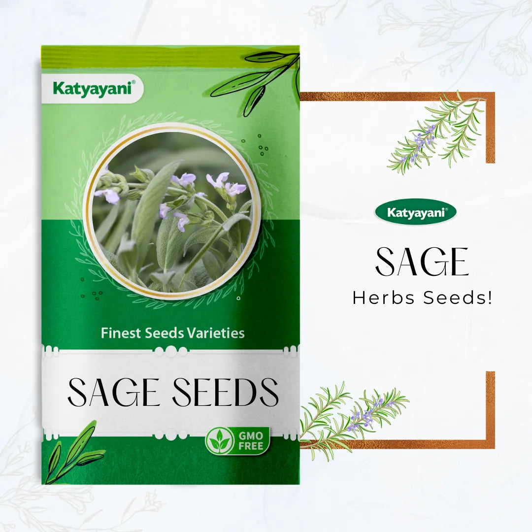 Sage Herb seeds