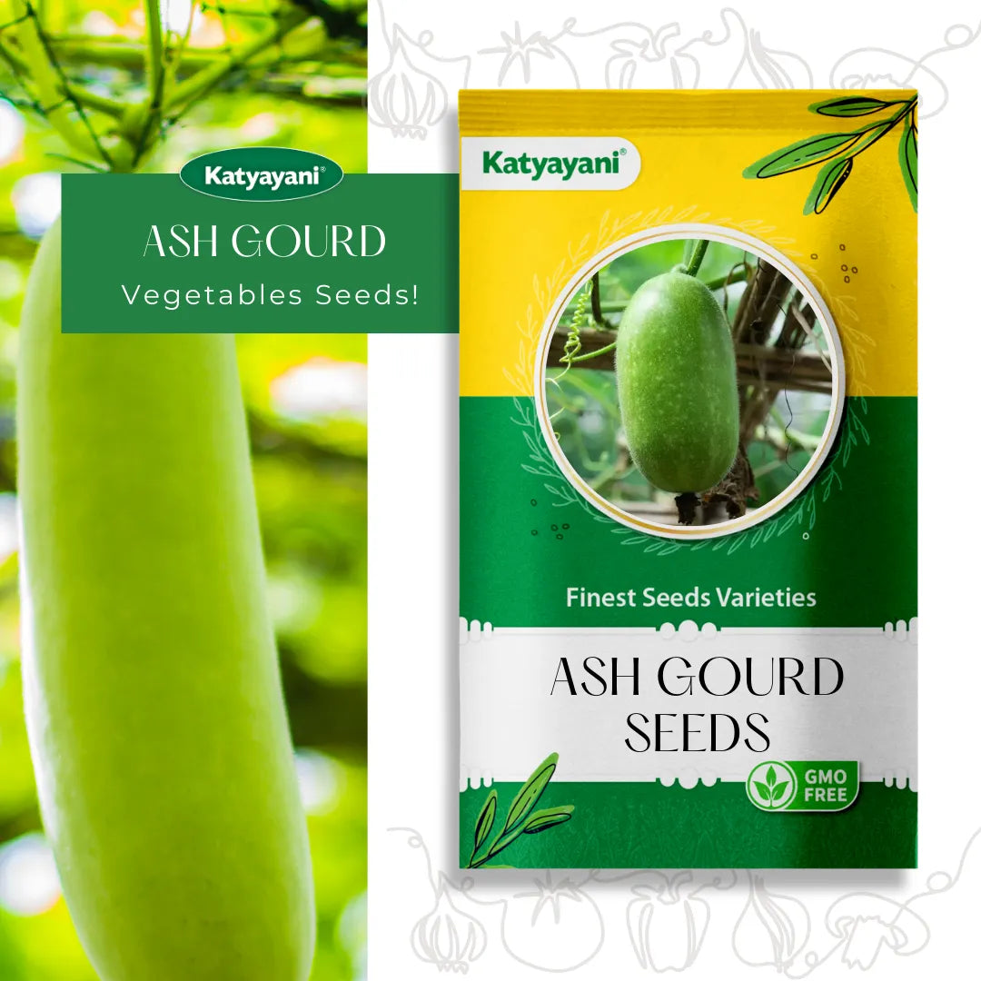 Ash Gourd Vegitable Seeds